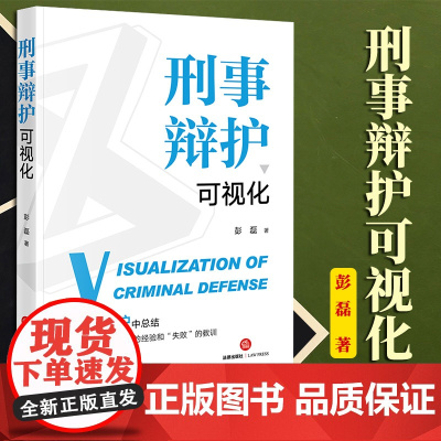 2023新书 刑事辩护可视化 彭磊著 法律出版社