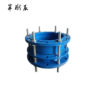 萃珑辰 双法兰伸缩节 DN300 个