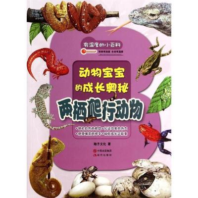 正版新书]有温度的小百科:两栖爬行动物稚子文化9787514325546
