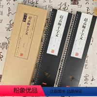 [正版]共2卷赵孟頫千字文单字放大版名家碑帖近距离临摹卡赵体楷书米字格附角注毛笔书法字帖成人学生临摹范本崇文书局20开