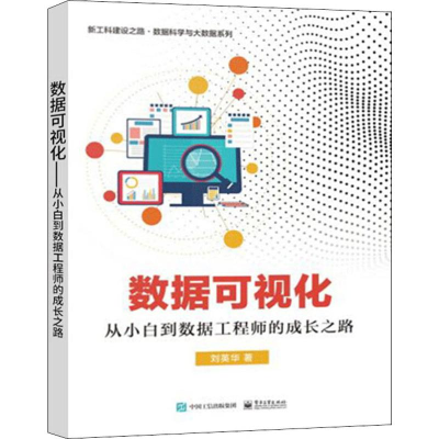 [M]数据可视化 从小白到数据工程师的成长之路-9787121362231