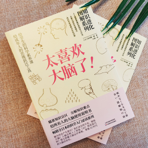 醉染图书知识进化图解系列 太喜欢大脑了!9787557699369