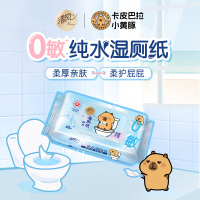 清风纯水湿厕纸家庭实惠装洁厕湿巾私处擦屁屁股男士女士专用女性60片*6包