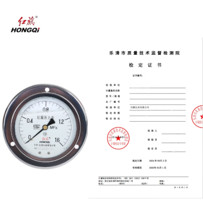 红旗 轴向带边耐震压力表(带检定证书) YTN100ZT 1.6MPA (其他压力表需备注) 块