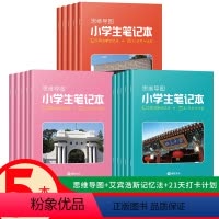 小学名校笔记本9本 [清华3本+北大3本+中科大3本] 小学通用 [正版]新品小学生中科大清华北大笔记本 艾宾浩斯遗忘曲