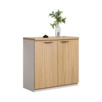 班龙矮柜两门台