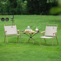 大迈露营桌椅套装/热带棕DM-2015*1+DM-2013*2 1桌2椅