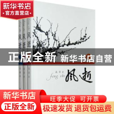 正版 风逝 高淳著 中国文联出版社 9787505963290 书籍