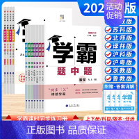 [题中题]数学 (浙教版) 九年级/初中三年级 [正版]学霸题中题数学2024秋江苏版七上八上九上物理学霸数学七下七年级