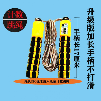致仕(ZISIZ)专业计数跳绳运动健身成人儿童海绵柄学生中考专用可调节长度跳绳