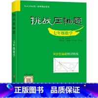 七年级 数学压轴题 初中通用 [正版]2024新版挑战压轴题中考数学物理化学入门篇精讲篇强化篇专项训练七年级八年级九年级
