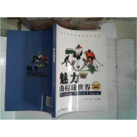 正版新书]青少年运动科普知识丛书魅力曲棍球世界闫峰作者978750