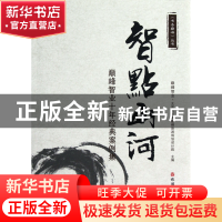 正版 智点山河(巅峰智业十年经典案例集)/书香巅峰丛书 主编:刘锋