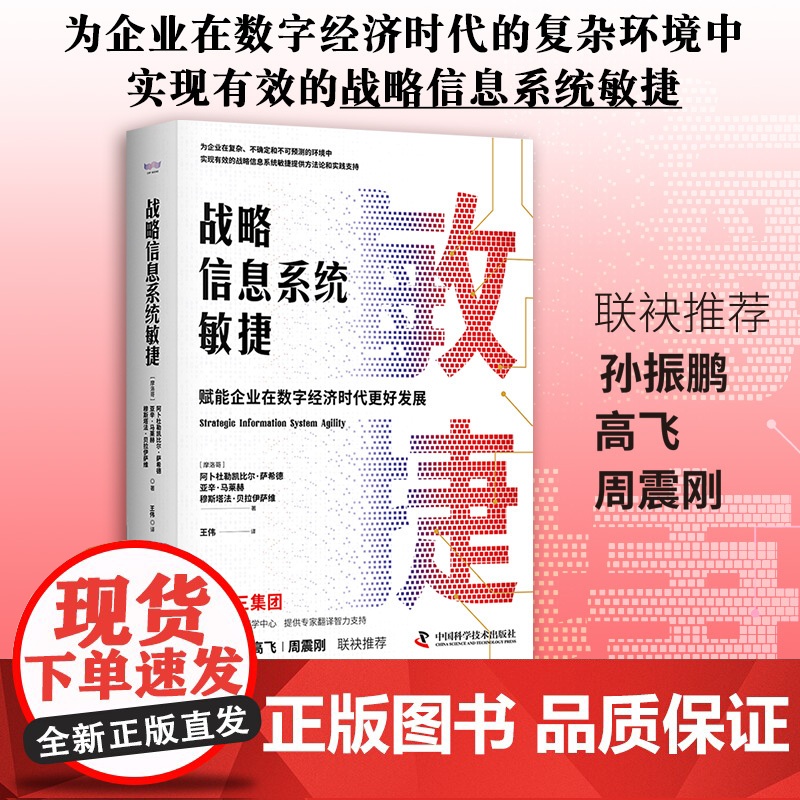 战略信息系统敏捷