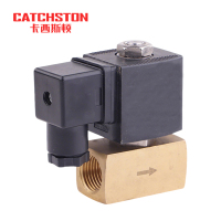 卡西斯顿 活塞式电磁阀 DC24V 个