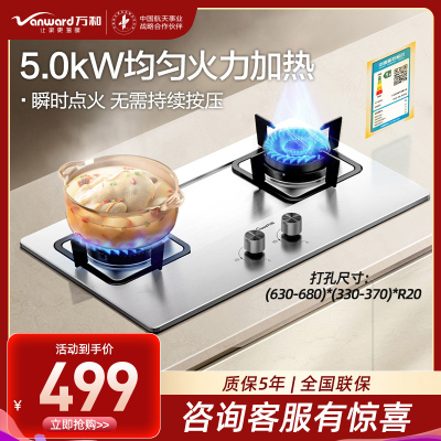万和(Vanward)[小灶君]B6天然气燃气灶具钢化玻璃煤气炉双灶嵌入式5kW家用猛火一级能效家电 B6B60