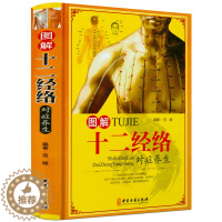 [醉染正版]正版 图解十二经络对症养生 中医养生 中医健康实用手册 中医经络穴位按摩大全 书穴位按摩入门人体经络家