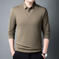 爸爸秋装长袖T恤男中年宽松衬衫领薄款打底衫中老年春秋条纹上衣