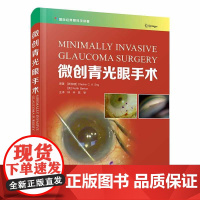 微创青光眼手术 9787523600252 中国科学技术出版社 [新加坡] Chelvin C. A. Sng
