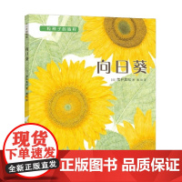向日葵 3-6岁 荒井真纪 著 科普百科