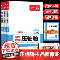 初中数学压轴题2025版一本数学母题解题思维方法大全七八九年级数学思想方法导引中考人教版上下册解题技巧思维同步运算专项练