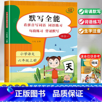 默写全能六年级上册 小学六年级 [正版]语文默写能手六年级上册看拼音写词语生字注音专项训练 积累与默写全能人教版6上小达