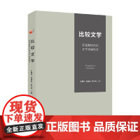 比较文学 后经典时代的文学经典批评 林精华等 编著 文学理论