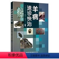 [正版]QHL 羊病速诊快治养羊技术书籍大全羊病治疗书籍高效科学养羊肉羊规模化养殖饲养喂养山羊小尾羊散养圈养快速出栏方
