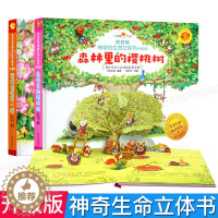 [醉染正版]全2册 好好玩神奇生命立体书 森林里的樱桃树 我们长的不一样 儿童3D立体书0-3-6岁幼儿园手工翻翻书宝宝