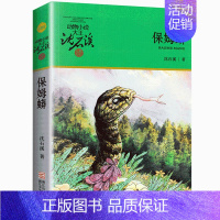 保姆蟒 [正版] 后一头战象 沈石溪动物小说珍藏版 四五六年级10-12-15岁中小学生课外阅读文学故事书 凤凰书店
