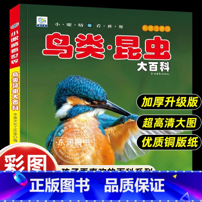 [彩图注音版]鸟类.昆虫大百科 [正版]小眼睛看世界昆虫鸟类大百科全书认识图鉴中国野外观察手册儿童彩图注音版小学生一二年