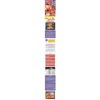 三年级套装全6册 [正版]惊险旅途三年级曾有情著天天出版社小学生下册课外书必读老师阅读经典适合 23年百班千人斑马项链