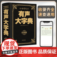 2024新版小学生有声汉语大字典大辞词典一二三四五六年级双解大词典全彩图解趣味学汉字典小学生多功能汉语词典工具书大开本大