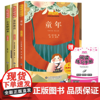 全套3册童年爱的教育和小英雄雨来六年级上册必读的课外书高尔基原著正版完整版管桦快乐读书吧小学生阅读书籍老师6上经典书目