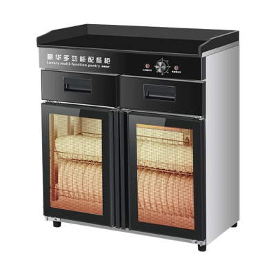 臻远ZY50429033配餐柜消毒碗柜茶水柜带抽屉调料台