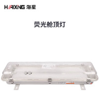 海星荧光舱顶灯JCY22-2EFJ