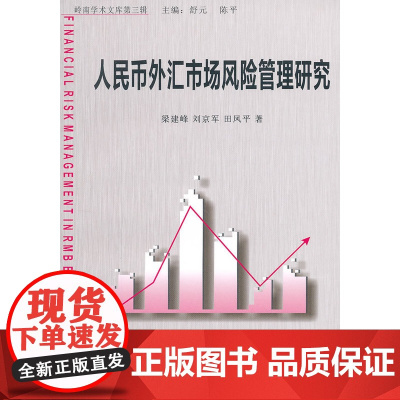 人民币外汇市场风险管理研究