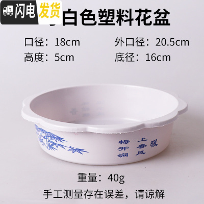 三维工匠花盆水仙花睡莲碗莲无孔金钱陶瓷水养水培多肉陶瓷塑料植物 经典款(塑料):大号8寸白色 中等花盆容器