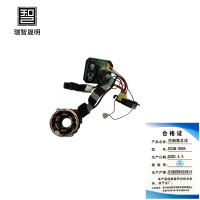 瑞智晟明(RZSM)控制器总成RZSM-36DA