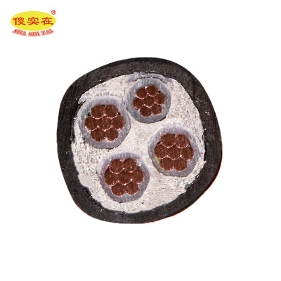 傻实在 电缆 国标全项保检 YC 3*35mm²+1*10mm² 米