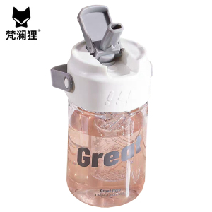 梵澜狸儿童吸管杯YQ46 个