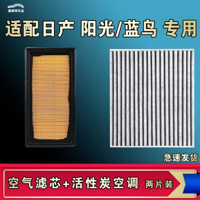 游枫亭适配东风日产阳光蓝鸟空气空调机油滤芯清器新尼桑11款原厂升级
