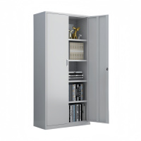 珂攸洋两门文件柜180*85*39cm个