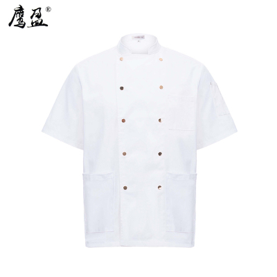鹰盈 短袖厨师服上衣 各码 一件