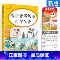 [一上]看拼音写词语 小学一年级 [正版]看拼音写词语一年级下册 二六年级四五三年级上下册拼音练习册人教版语文默写看图写