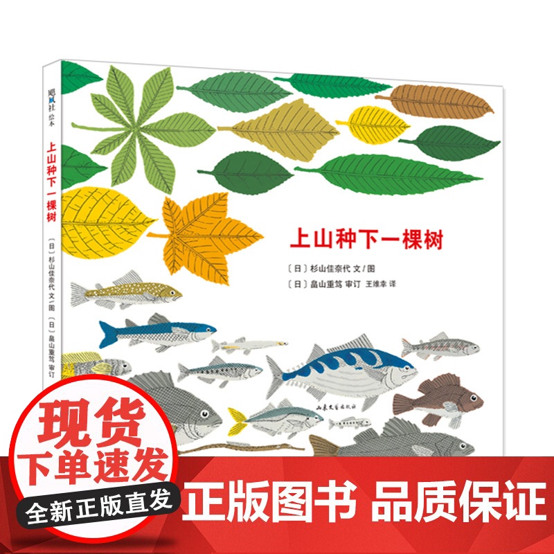 上山种下一棵树 科普生态环保 3-6岁精装绘本一粒种子的旅行前传植物森林松鼠狐狸猫头鹰动物山海太阳和海洋自然爱心树正版包