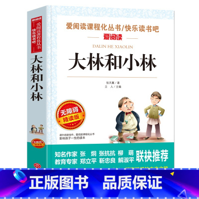 大林和小林 [正版]原著 大林和小林 张天翼著 青少年小学生儿童二三四五六年级上下册课外阅读物故事书籍快乐读书吧老师书籍