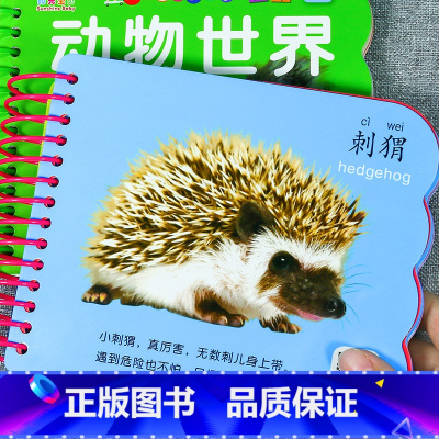 [3件29.8元]动物世界 [正版]撕不烂大图大字注音国学启蒙早教 三字经幼儿版绘本弟子规完整版2-3-4-6岁幼儿园用
