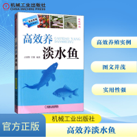 [M]高效养淡水鱼-9787111512851