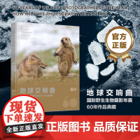 店 地球交响曲 国际野生生物摄影年赛60年作品典藏 罗莎蒙德·基德曼·考克斯 著 野生动物摄影训练营指定参考书